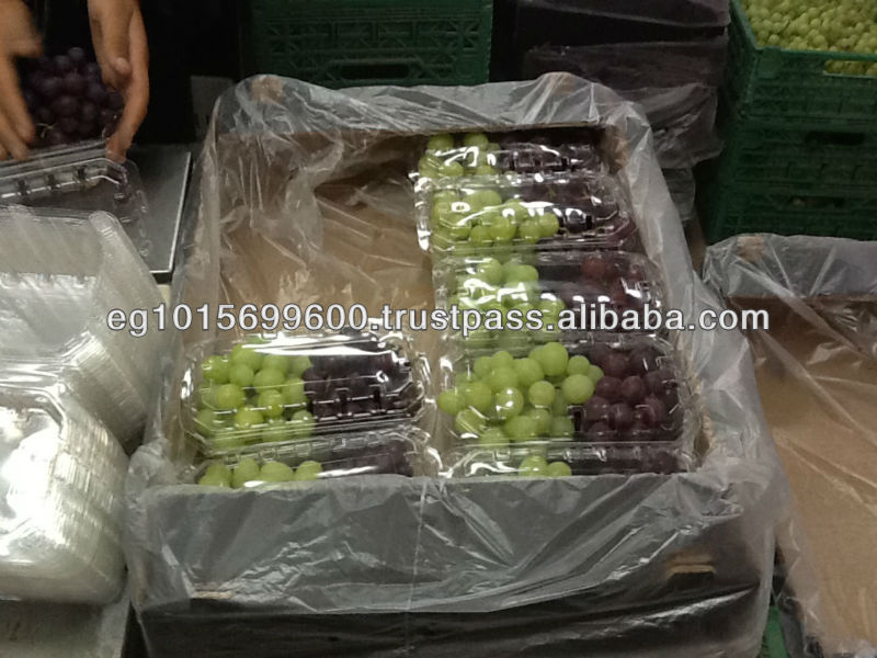 Fresh Grapes ( Superior -Flame -Crimson-Thompson -Red Globe ...)