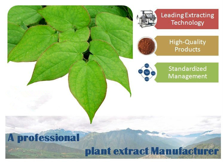 Factory Price Of Instant Coconut Water Powder/Coconut Fat Powder