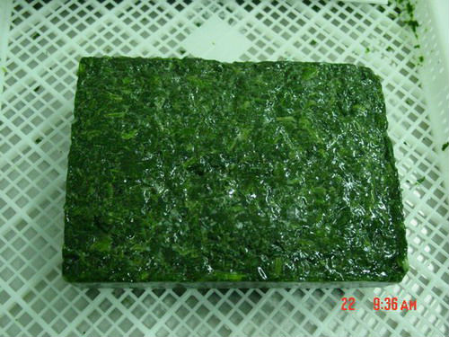 2014 new crop Chopped IQF Spinach,BQF Spanich