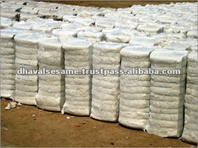インドの綿花シャンカール- 6- 最高品質問屋・仕入れ・卸・卸売り