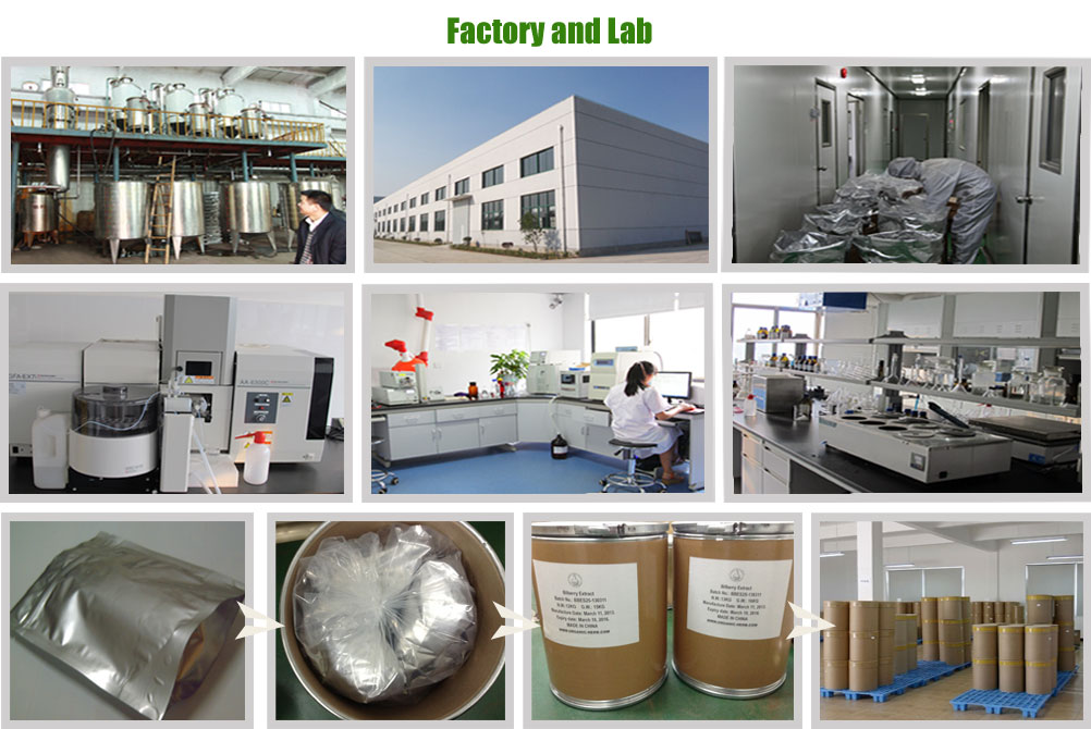 Organic Green Tea Extract,Natural Green Tea Extract Powder,Green Tea Polyphenol