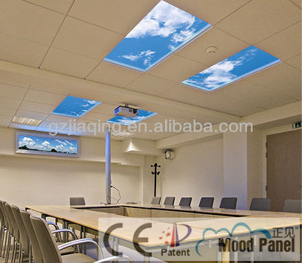 Artificial Skylight Panels Absolute Roofing Solutions