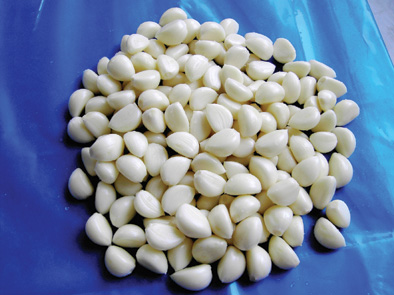 20g Frozen garlic puree with BRC,KOSHER