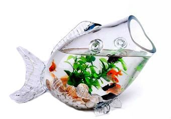 の魚形の透明なガラス装飾的な魚のボウル問屋・仕入れ・卸・卸売り