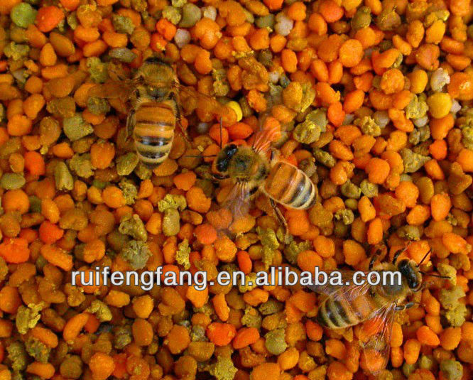 2012 mixed honey bee pollen
