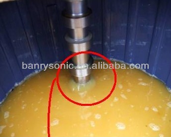 ultrasonic processor disruptor