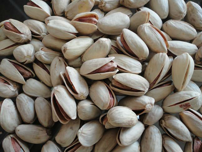 Iranian Pistachio nut