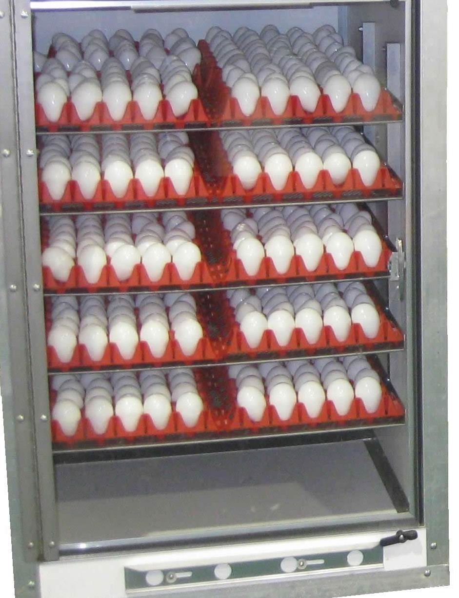 Full automatic incubator for hatching chicken egg incubator Thermostat