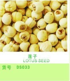 Chinese food of lotus seeds and organic fruit and nut