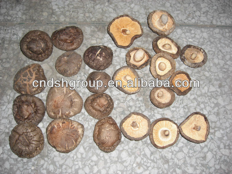 dried white button mushrooms