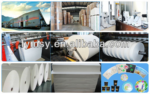 Double Side PE Coated Paper For Food Package Use