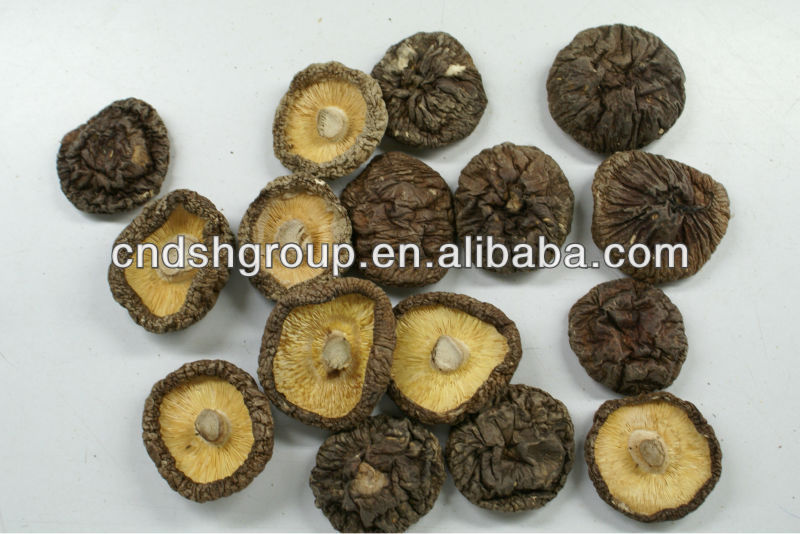dried white button mushrooms