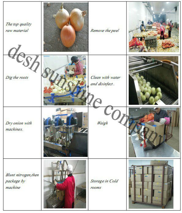 Selling top quality types of fresh onions