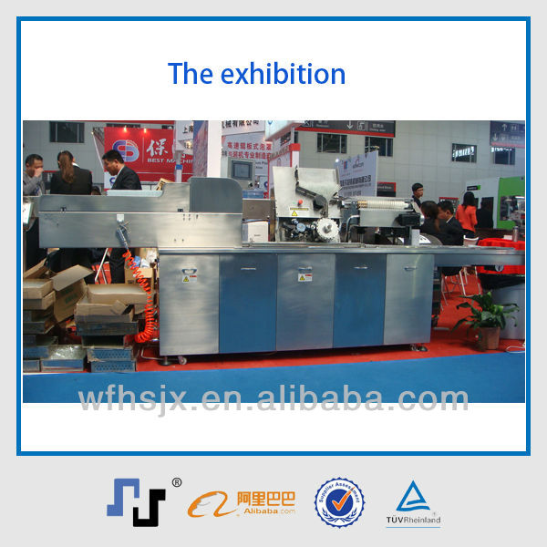 HZ120BD China CE Automatic carton box machine chocolate easter kinder eggs wrapping machine