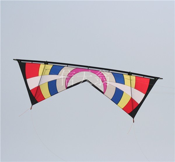 新しいアホウドリの発育阻害凧のクォードライン凧問屋・仕入れ・卸・卸売り