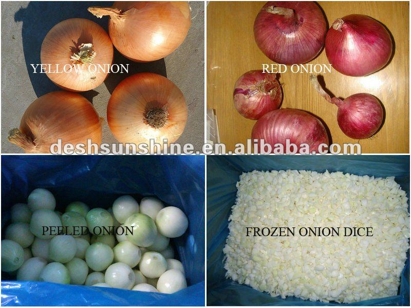 2012 New Crop grade A onion specification fresh