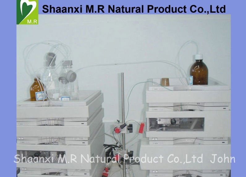 High quality Aloe Vera Extract