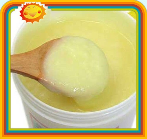 Low Price lyophilized royal Jelly Powder