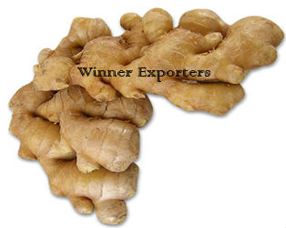 Ginger Exporters