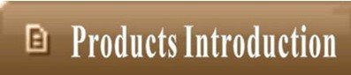 product introduction.jpg