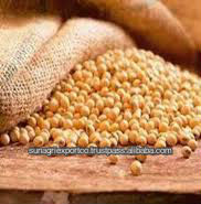 Refined Soybean Oil in flexitank