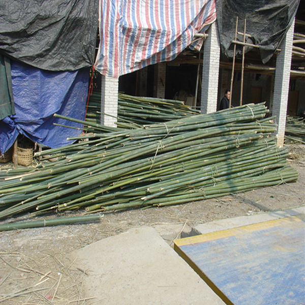 marshmallow bamboo skewers