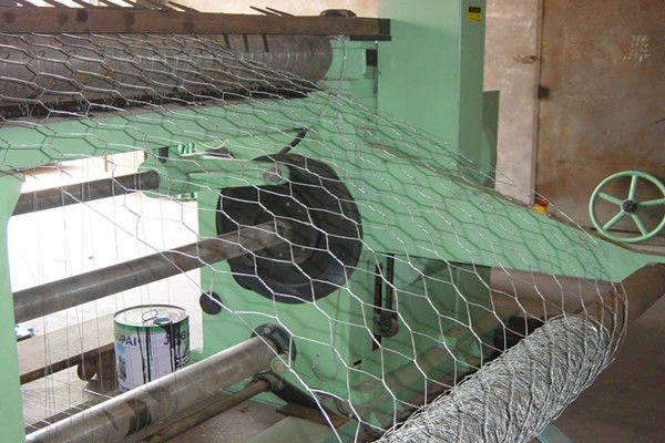 square chicken wire mesh