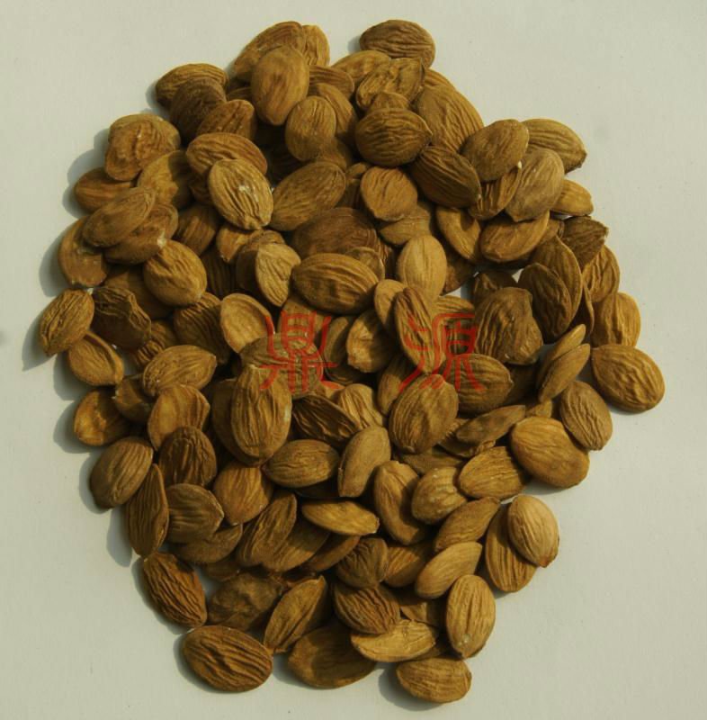 China blanched almonds,China DINGYUAN price supplier 21food