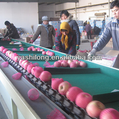 export Red apple in lowest price for buyer who bulk buy from china