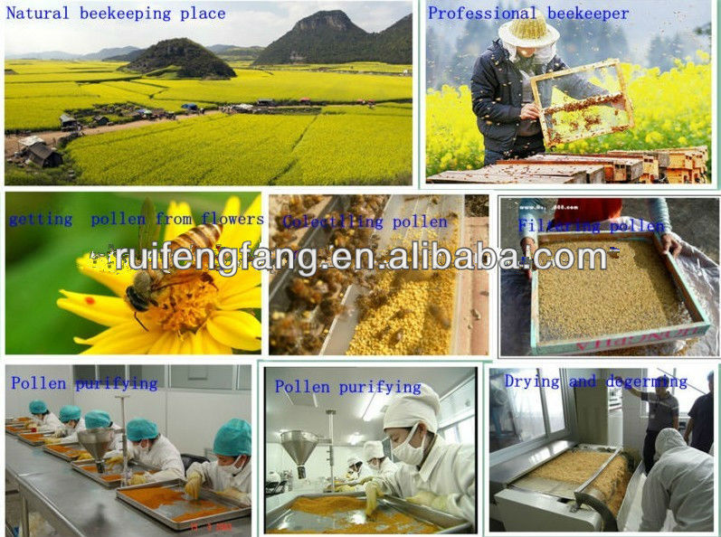 Wholesale protein powder health food refined honey bee pollen powder