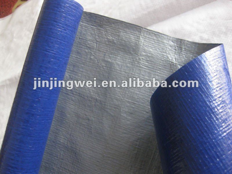 20111221 1293.jpg