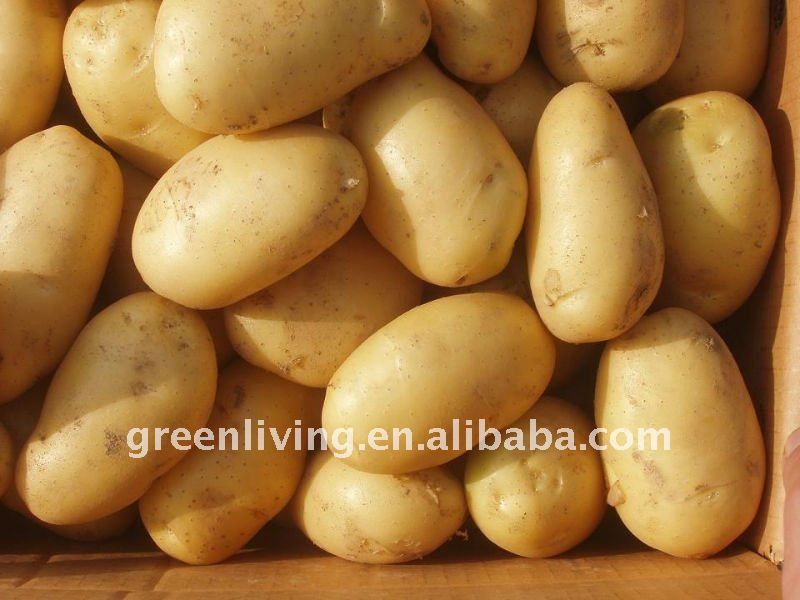 2012 potato packed in mesh bag on sale!