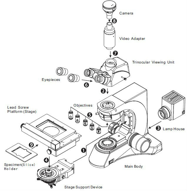 生物学的sc-n800dオートフォーカスデジタル顕微鏡による電動ステージ3.0mpとカメラ仕入れ・メーカー・工場