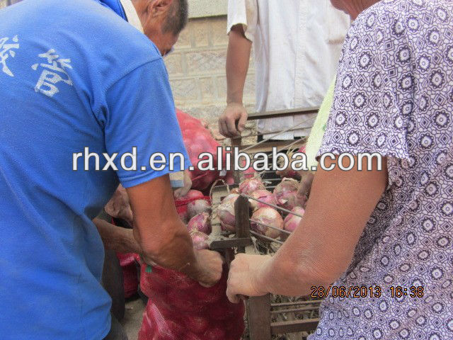 fresh red onion export india