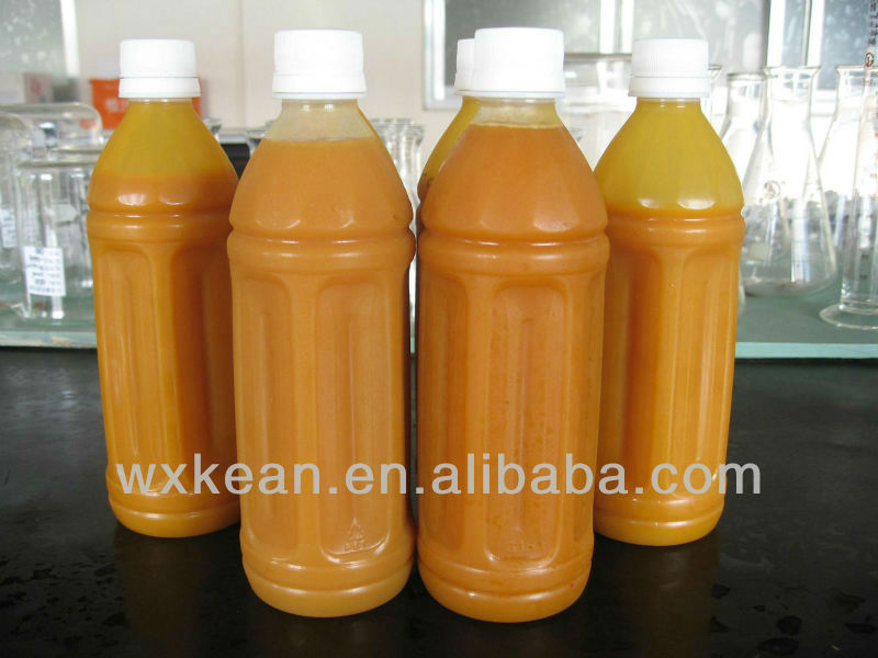 Automatic Orange Juice making Machine