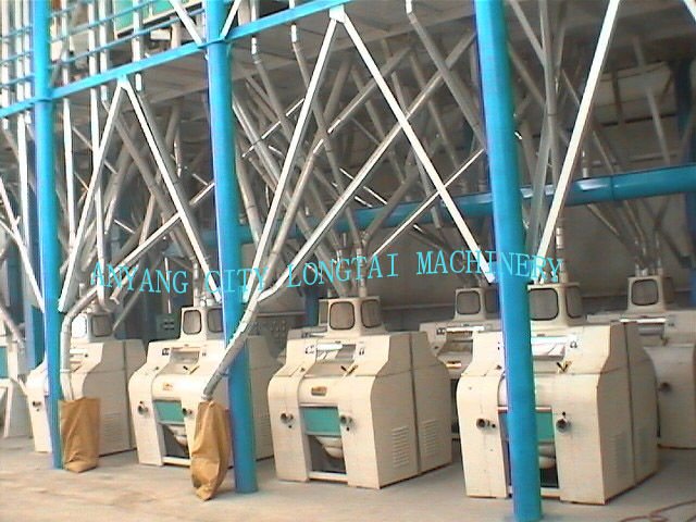 Complete Turn key Corn Mill made in China Longtai-directory from the manufacturer