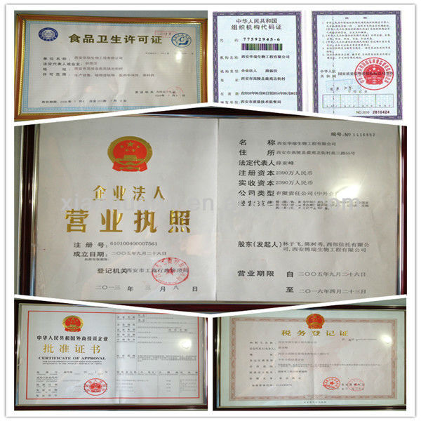Aloe Extract in High Quality&Aloin 25%A+B
