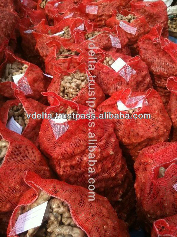 FRESH GINGER WITH HIGH QUALITY