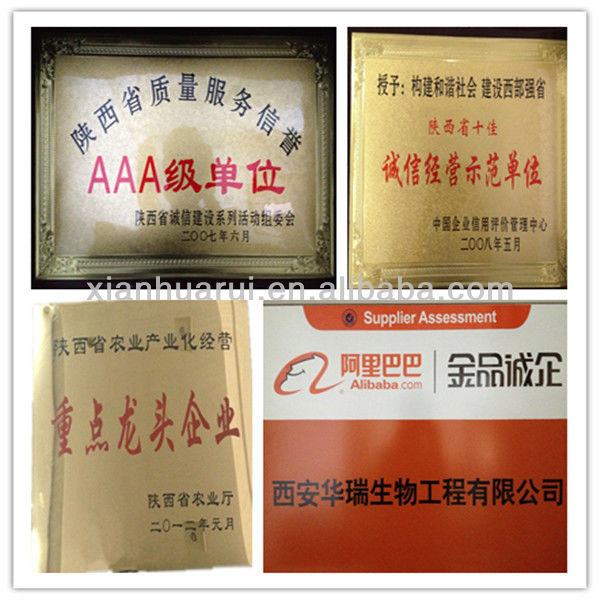 Aloe Extract in High Quality&Aloin 25%A+B