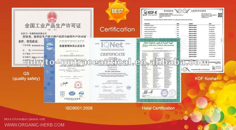 Cinnamon Bark extract 5% Cinnamon Polyphenols