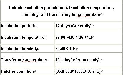 Multi-function Ostrich egg incubator price in Nigeria