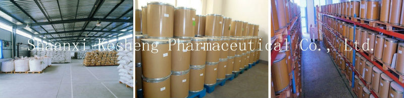 Organic White Tea Extract,Camellia sinensis O. Ktze.