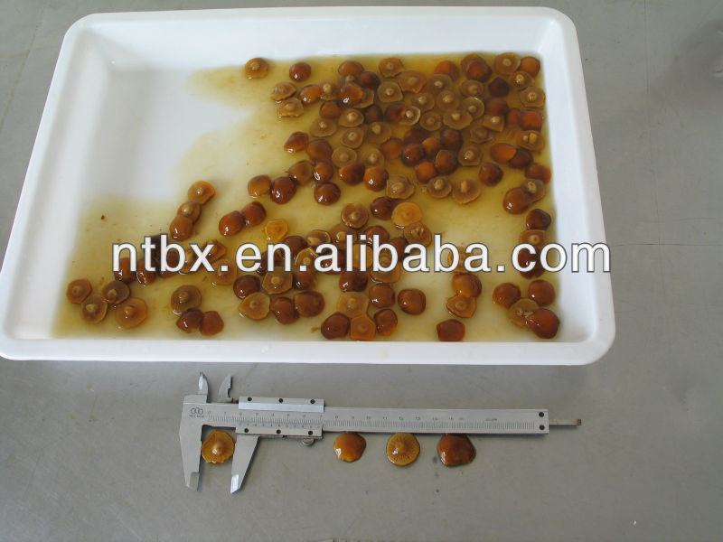 canned nameko mushroom