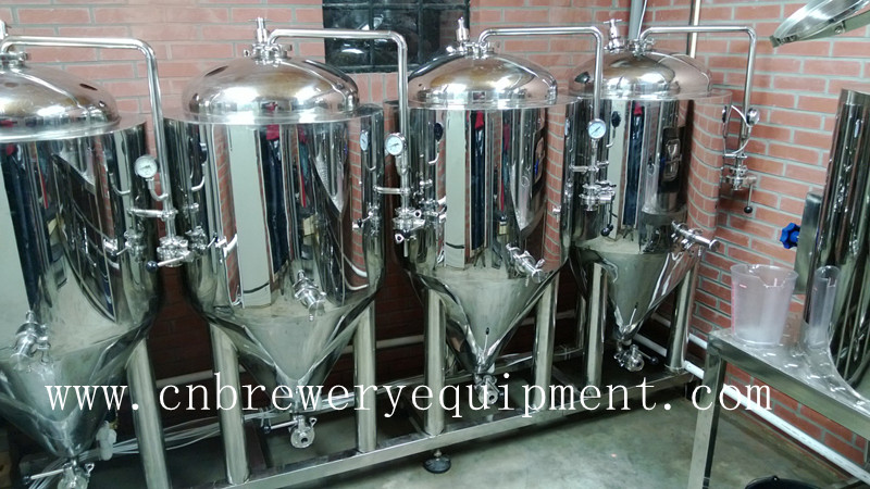 100L Pub/Bar/Hotel Fresh Beer Brewing Equipment