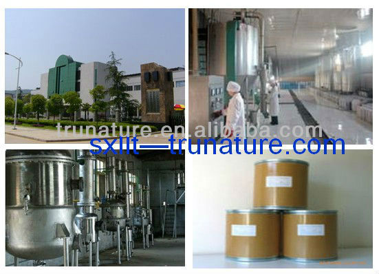 Cinnamon Extract--Anticomplement role