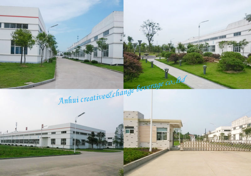 OEM Apple Fruit Soft Drink