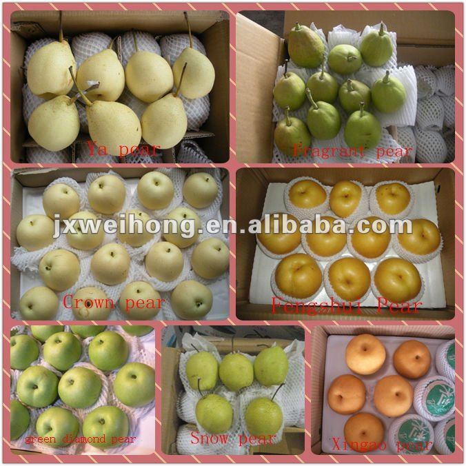 Fresh early matured su pear