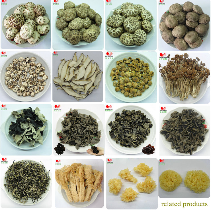 All Types of Mushroom Dried Mushroom