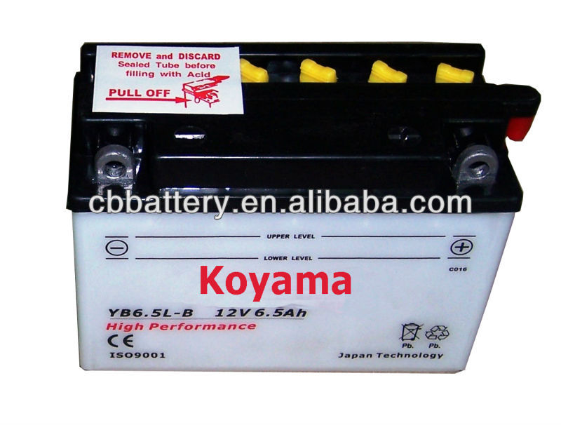 YB65L-B-12V6.jpg