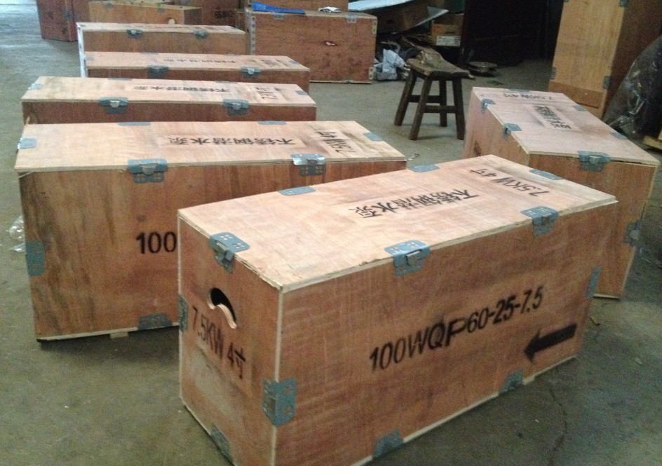 Inundación de deshidratación de la bomba eléctrica de la serie EP